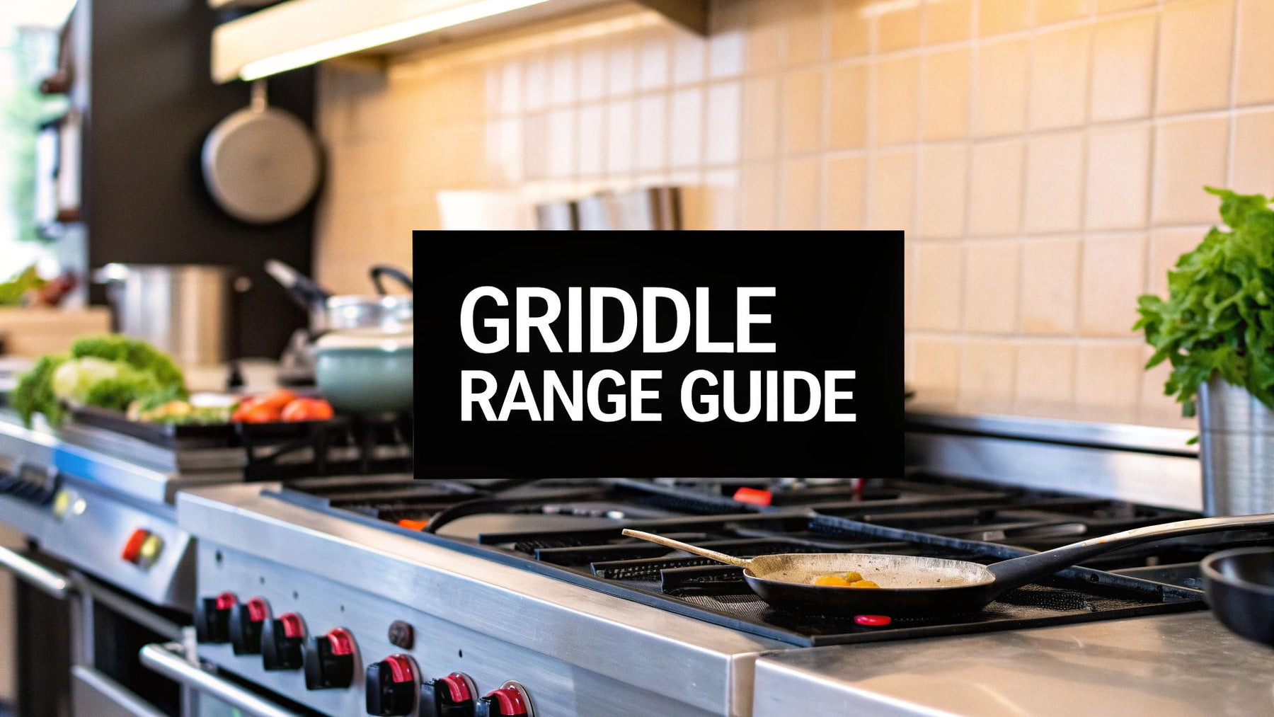 Your Complete Guide to the Commercial Stove Range with Griddle